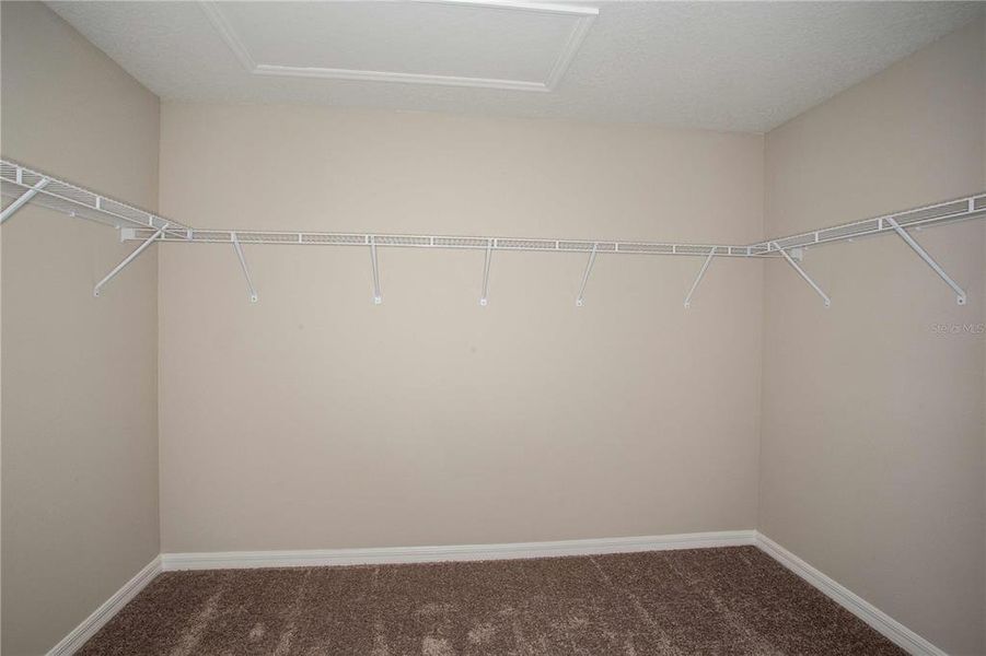 Spacious, unfurnished interior of a new home in Crosswinds, Haines City (Image 24).