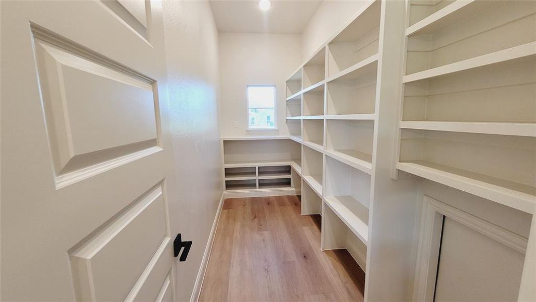 Walk-in pantry featuring extensive built-in shelving, wood-finish flooring, a window providing natural light, and a white paneled door with matte black hardware
