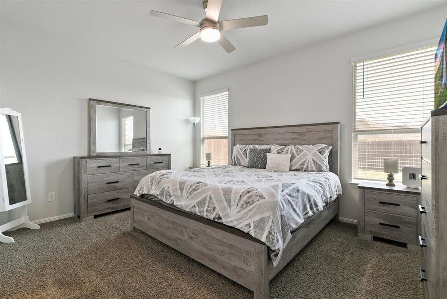 Carpeted bedroom featuring multiple windows and a ceiling fan