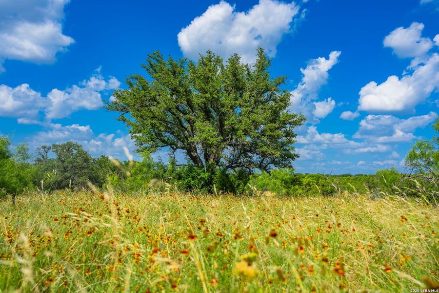 Natural landscape and outdoor views near in Menard (Image 27). Natural landscape and outdoor views near in Menard (Image 27).