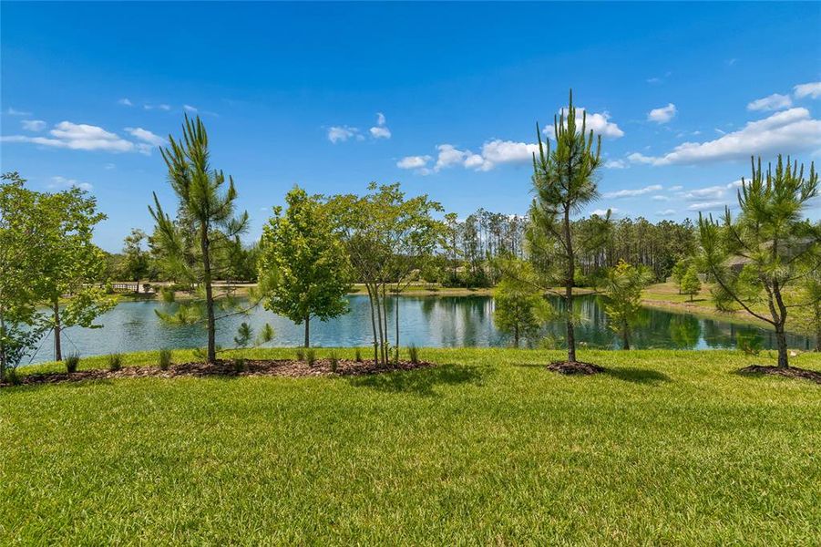 Natural landscape and outdoor views near Pearl Estates in Lutz (Image 47).