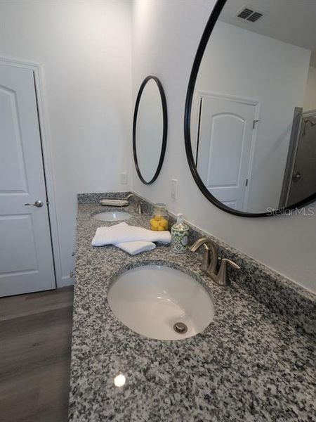 MODEL HOME PRIMARY BATHROOM VANITY