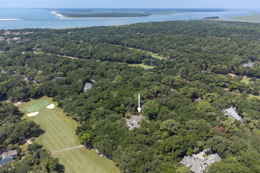 Natural landscape and outdoor views near  in Seabrook Island (Image 98).