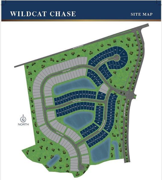 Image 28 of a home in Wildcat Chase.