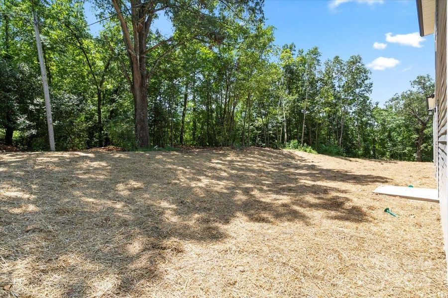 Exterior details and patio area of a home in , Albemarle (Image 4).