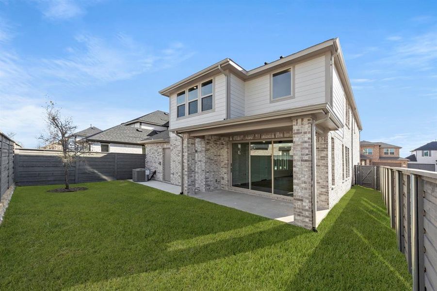 27. 1117 Amaryllis - Back