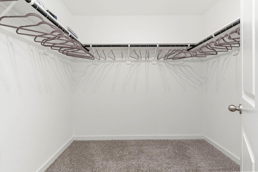 representative photo