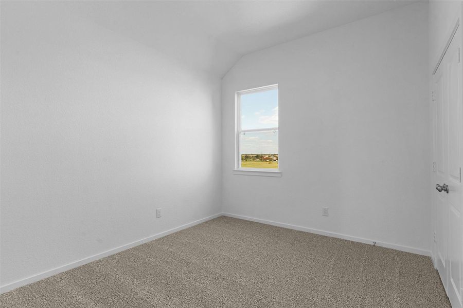 Carpeted spare room with baseboards and vaulted ceiling Carpeted spare room with baseboards and vaulted ceiling
