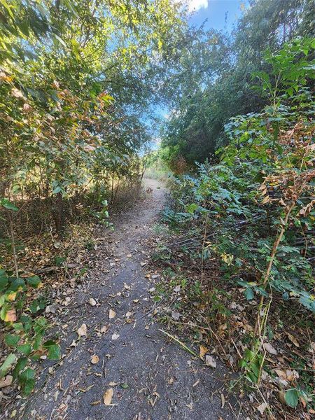 Natural landscape and outdoor views near  in Ennis (Image 26).