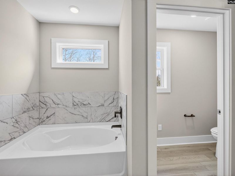 Furnished interior view inside a new home in Collins Cove, Chapin (Image 14).