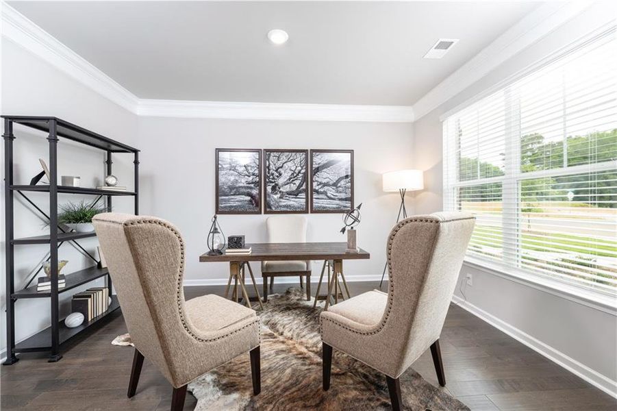 Furnished interior view inside a new home in Etowah Landing, Ball Ground (Image 3).