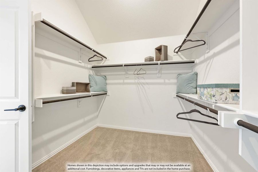 Walk-in closet with white shelving, hanging rods on both sides, and beige carpet flooring Walk-in closet with white shelving, hanging rods on both sides, and beige carpet flooring