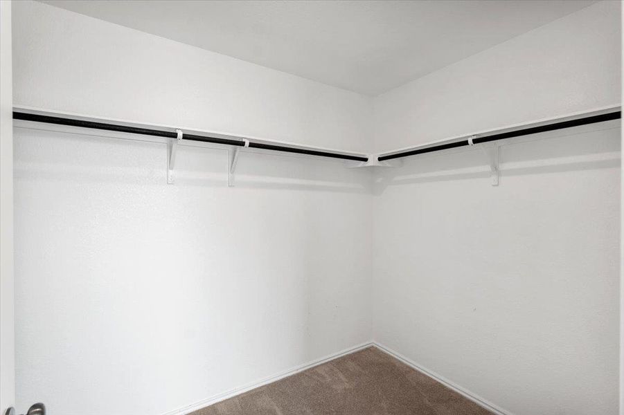 Walk in closet featuring dark colored carpet