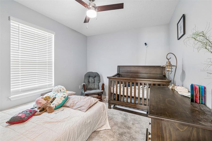 Furnished interior view inside a new home in , Tampa (Image 46).