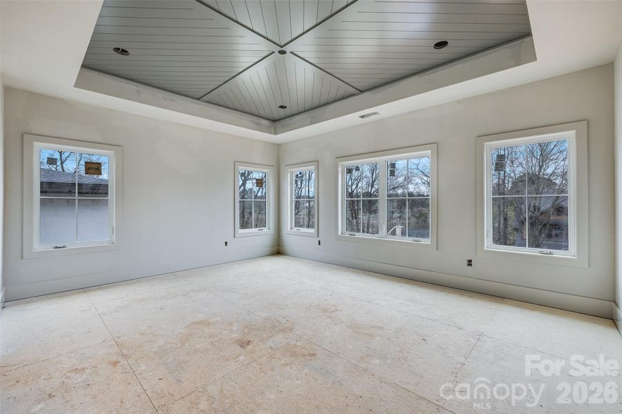 Primary (TONS of light)