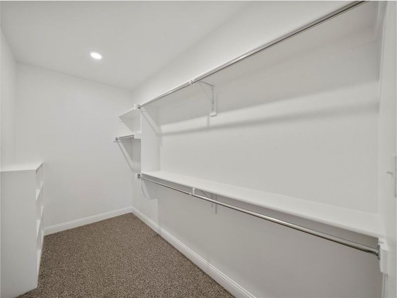 Walk in closet featuring carpet floors