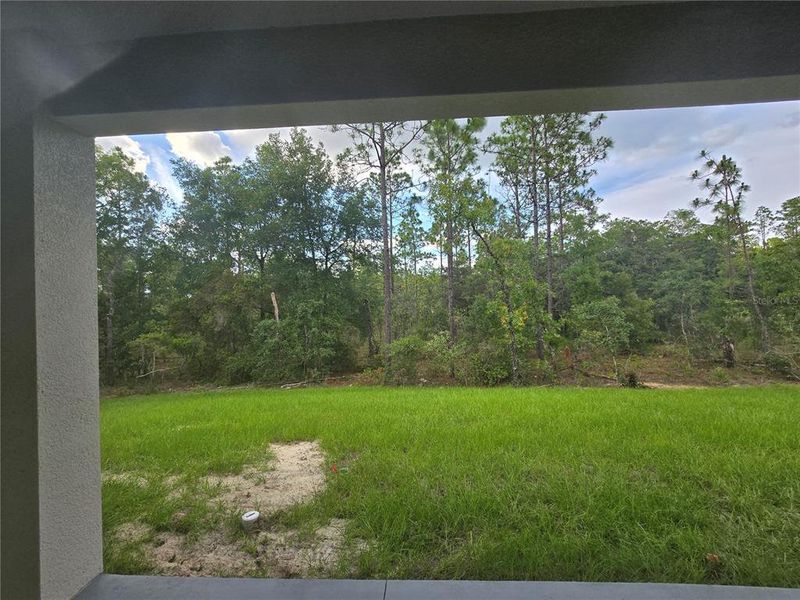 Exterior details and patio area of a home in , Weeki Wachee (Image 33). Exterior details and patio area of a home in , Weeki Wachee (Image 33).