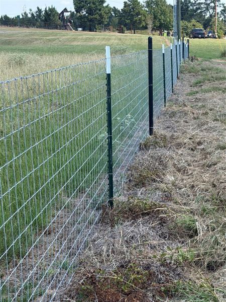 Fence along the back property line.