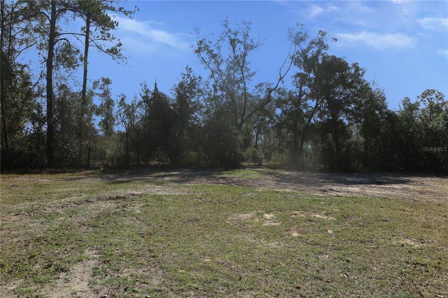 Natural landscape and outdoor views near in Hawthorne (Image 34). Natural landscape and outdoor views near in Hawthorne (Image 34).