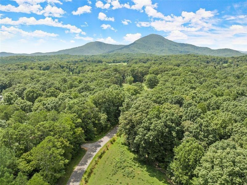 Natural landscape and outdoor views near  in Cleveland (Image 8).
