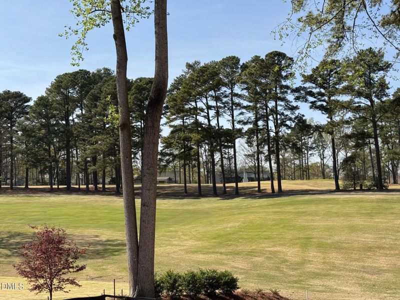 7117 North Ridge View March 25th