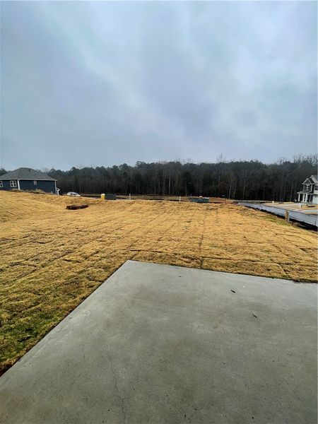 Image 47 of a home in Springwood Grove.