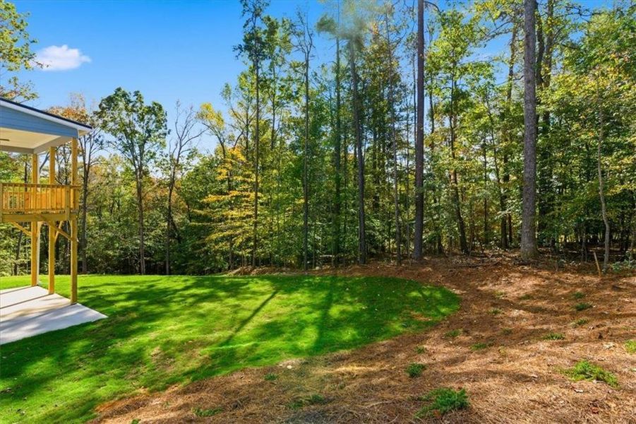 Exterior details and patio area of a home in The Estates at Hurricane Pointe, Douglasville (Image 26). Exterior details and patio area of a home in The Estates at Hurricane Pointe, Douglasville (Image 26).