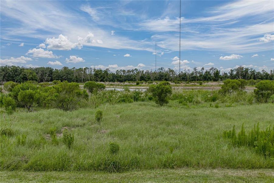 Natural landscape and outdoor views near  in Riverview (Image 55).