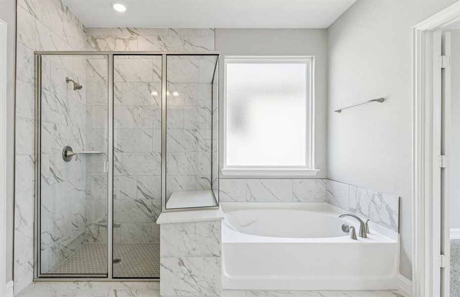 Large shower and tub in owner's bath