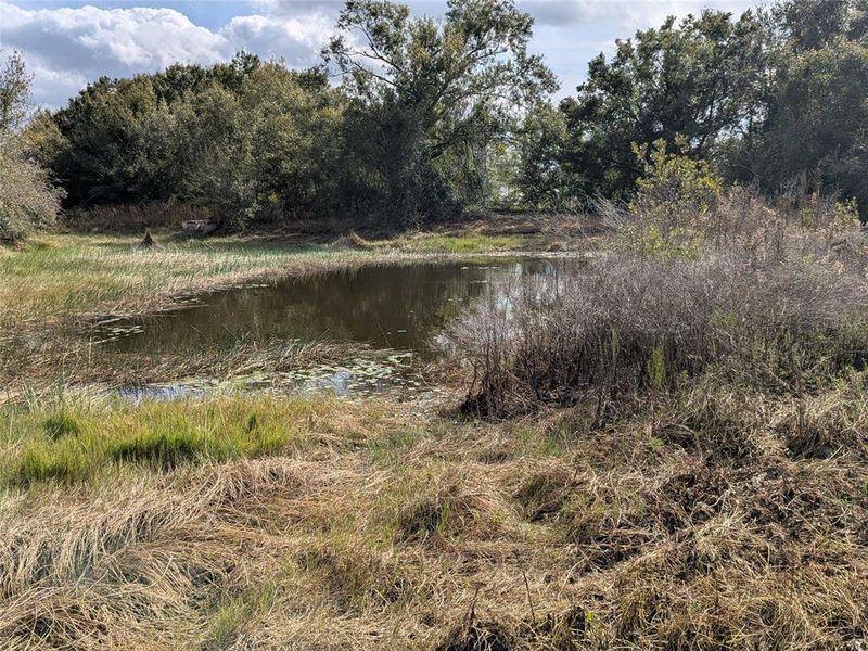 Natural landscape and outdoor views near  in Arcadia (Image 29).