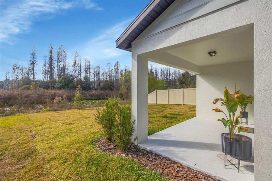 Exterior details and patio area of a home in , Zephyrhills (Image 4).