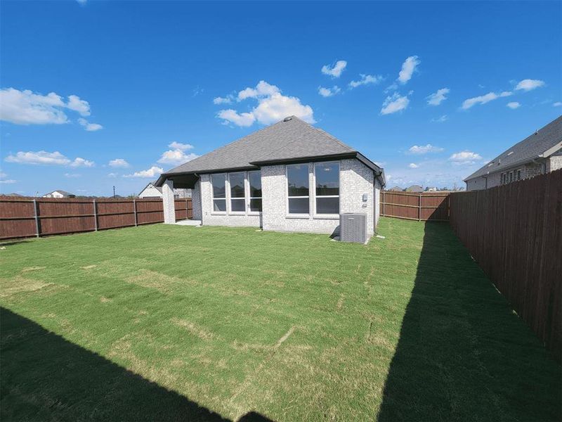 3048 backyard3 3048 backyard3