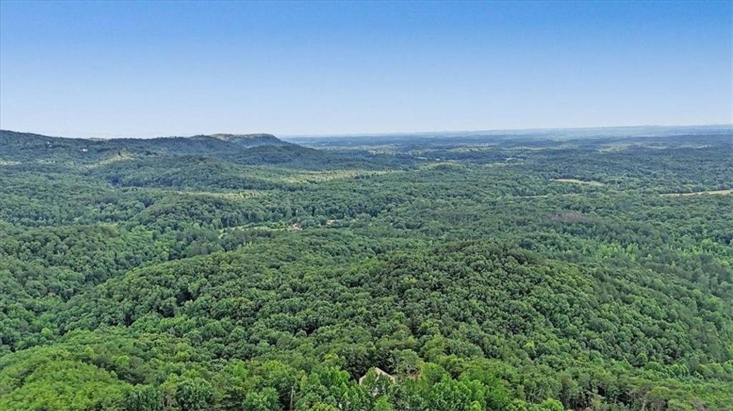 Natural landscape and outdoor views near  in Ranger (Image 61).