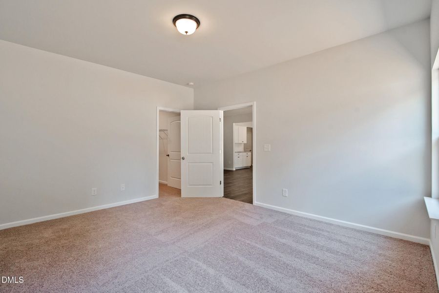 Representational Photo Representational Photo