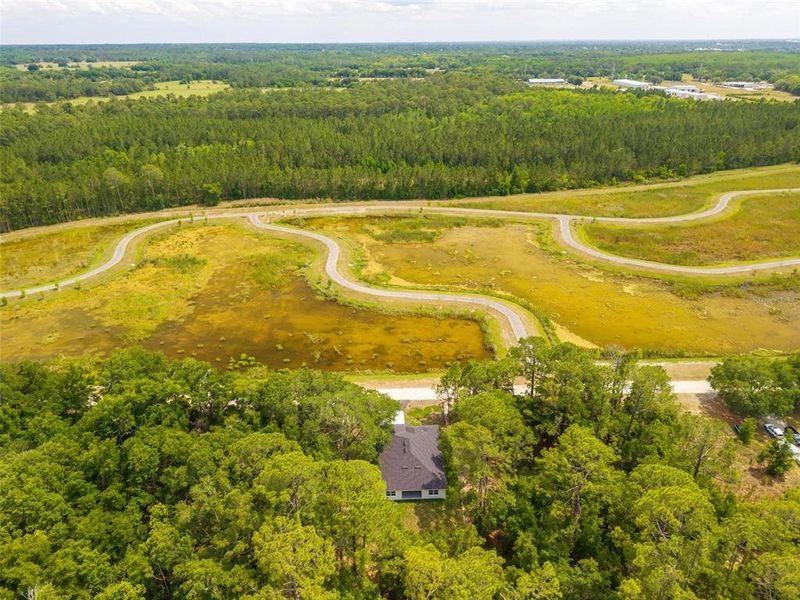 Natural landscape and outdoor views near  in Eustis (Image 56).