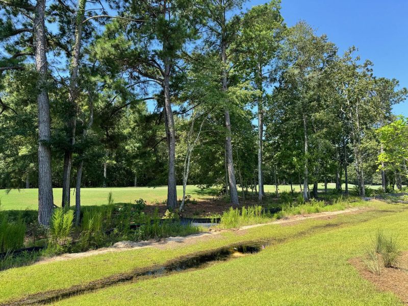 Image 42 of a home in Fairway Woods at Wyboo.