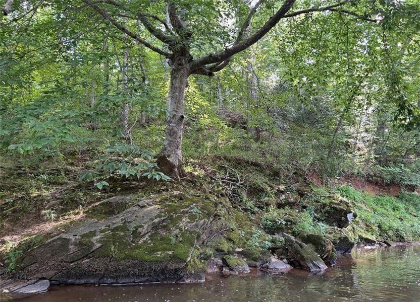 Natural landscape and outdoor views near in Ball Ground (Image 12). Natural landscape and outdoor views near in Ball Ground (Image 12).