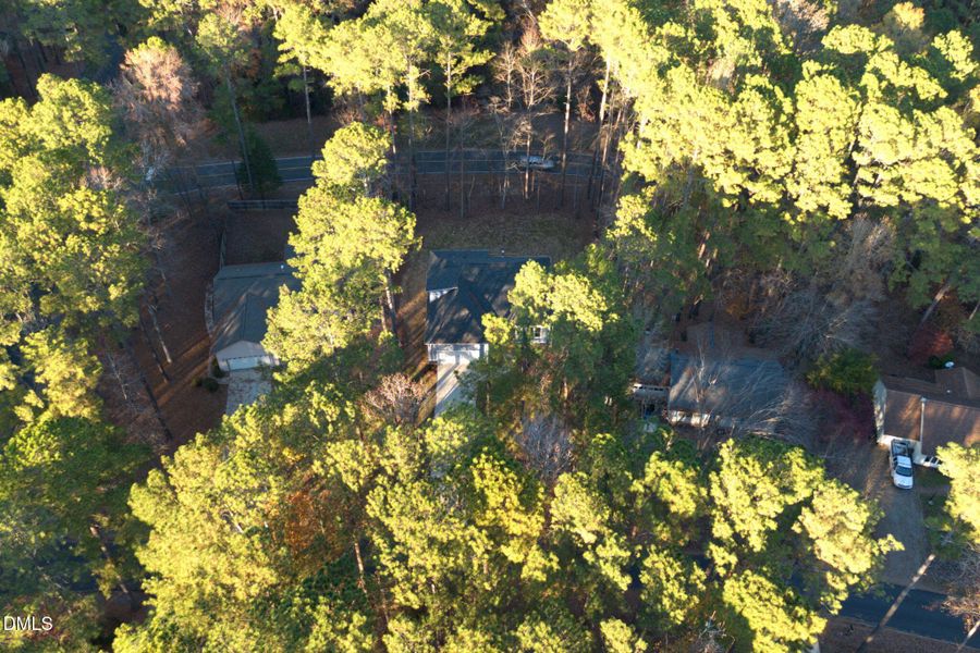 35-web-or-mls-DJI_0146