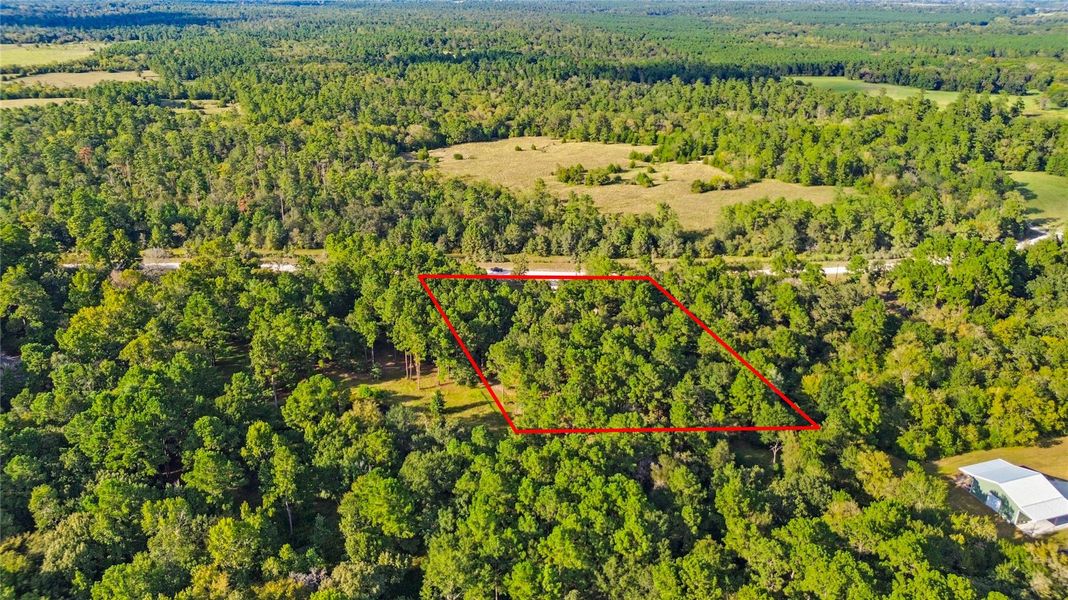 Natural landscape and outdoor views near  in Huntsville (Image 24).