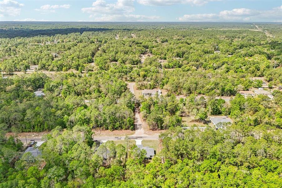 Natural landscape and outdoor views near  in Citrus Springs (Image 52).