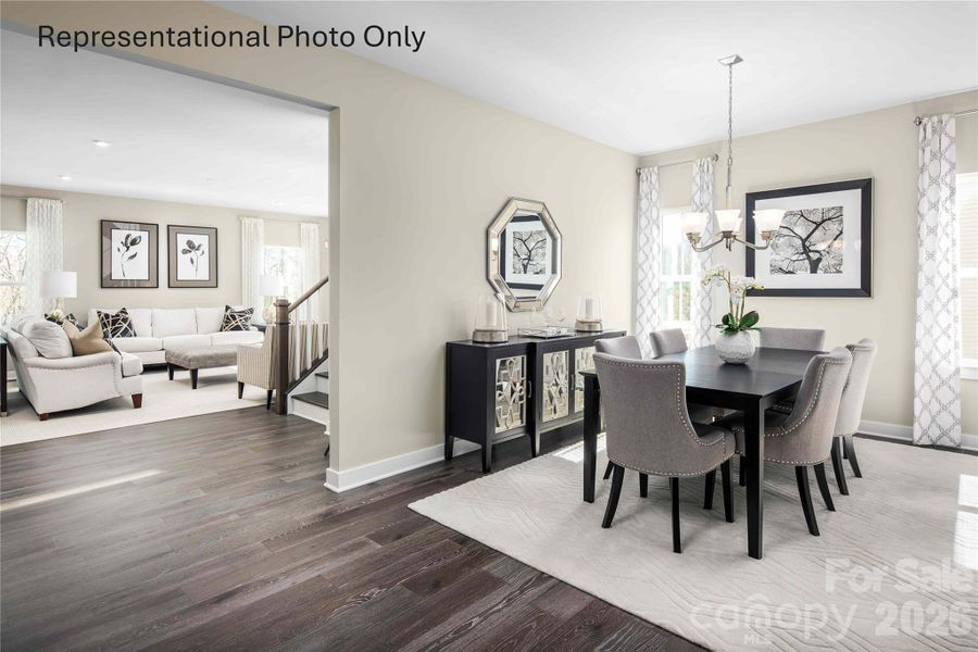 Representative Photo Only