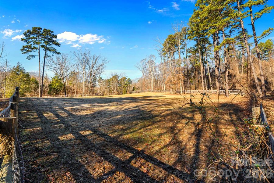 Natural landscape and outdoor views near  in Davidson (Image 28).