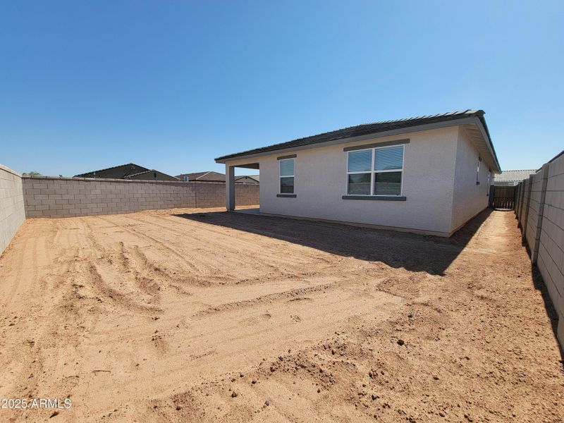 1000043539 1000043539