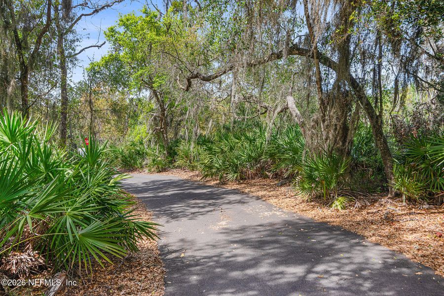 Natural landscape and outdoor views near  in St. Johns (Image 72).