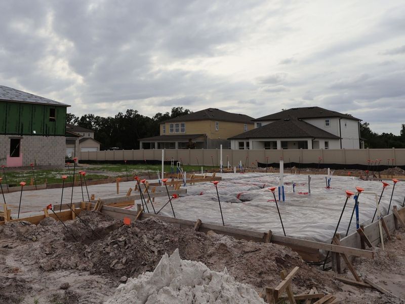 Homesite