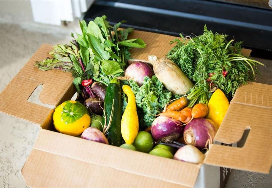 Newmark Homes new construction in the Agri-community Harvest where you can grow your own food in the community farm.