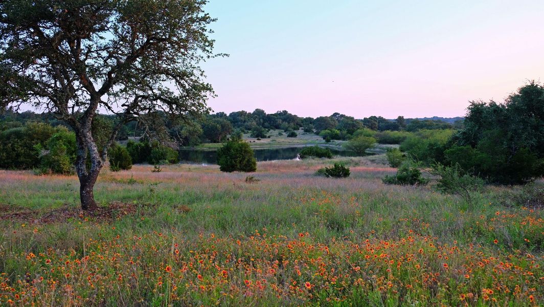 Natural landscape and outdoor views near Provence in Austin (Image 33).