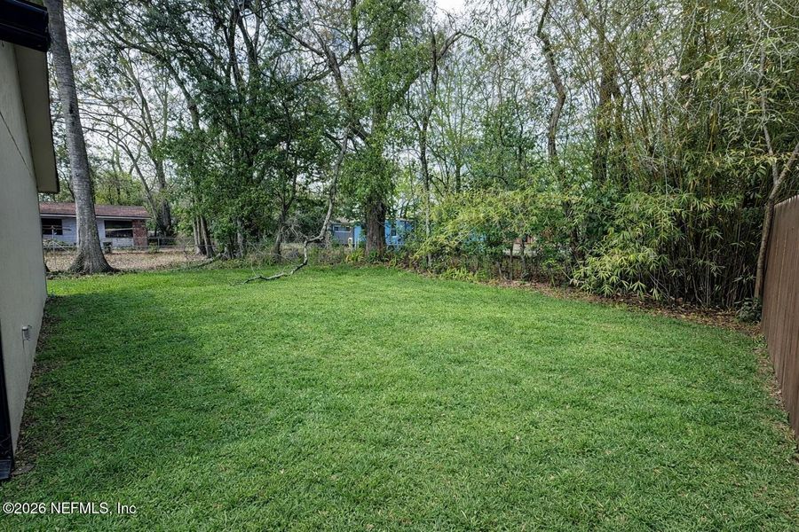 Natural landscape and outdoor views near  in Jacksonville (Image 32).