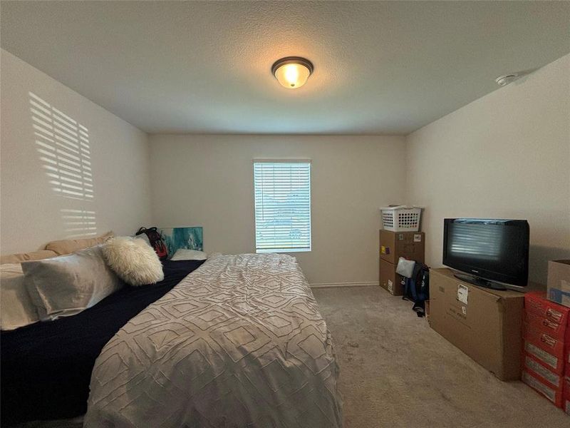 Bedroom featuring carpet flooring and a textured ceiling
