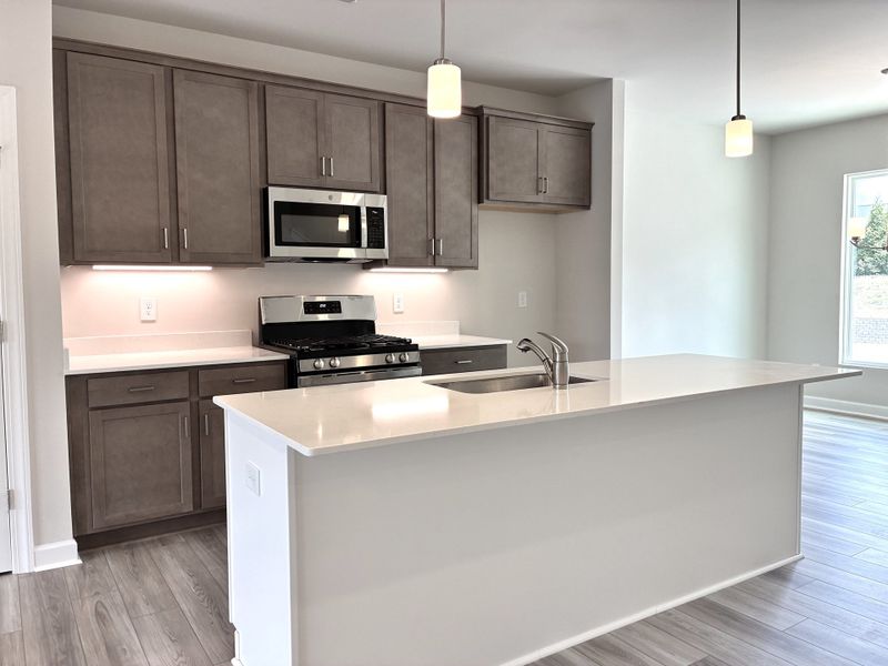 Furnished interior view inside a new home in Holly View, Greenville (Image 6).